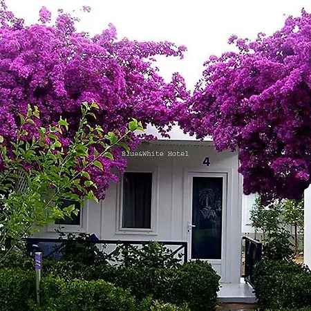 Tatil parkı Blue & White 3*