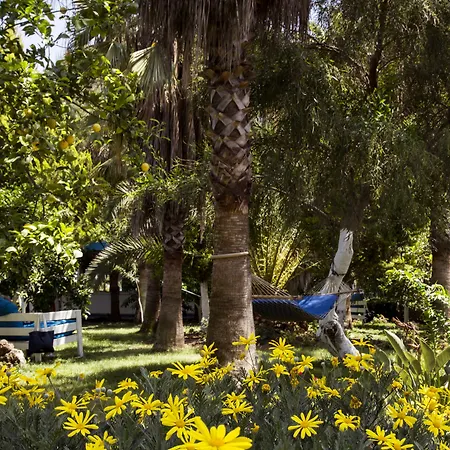 Blue & White Tatil parkı