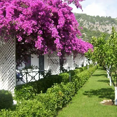 Tatil parkı Blue & White 3*