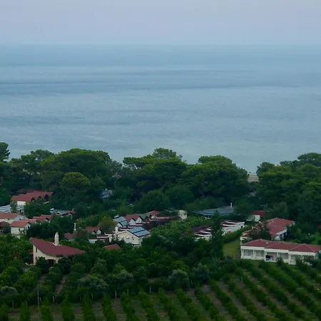 Blue & White Çıralı