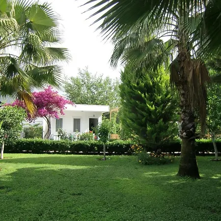 Blue & White Tatil parkı 3*