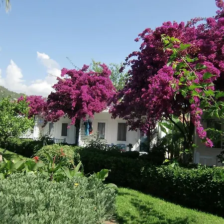 Blue & White Tatil parkı