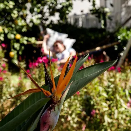 Blue & White Çıralı