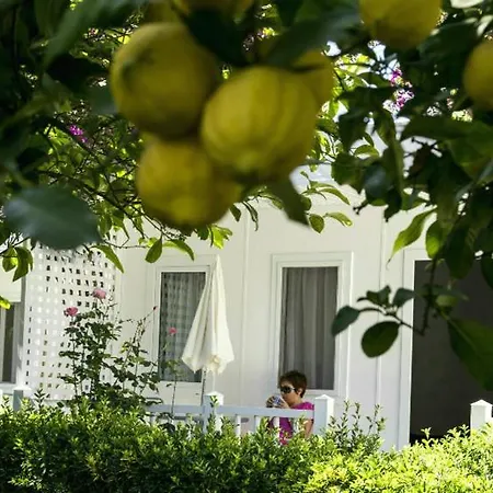 Blue & White Tatil parkı Çıralı