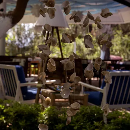 Blue & White Çıralı