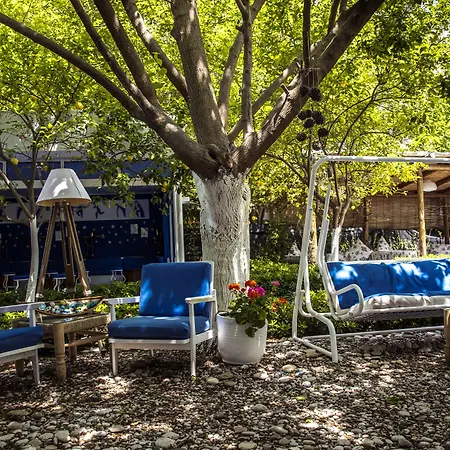 Blue & White 3*
