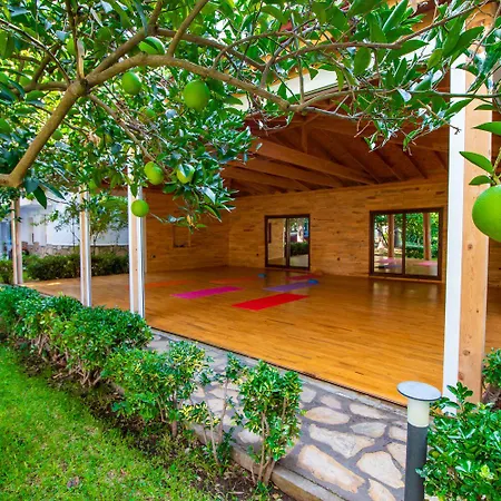 Parc de vacanță Blue & White Çıralı