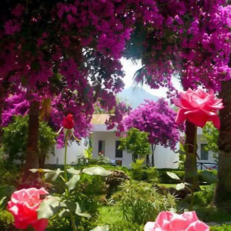 Parc de vacanță Blue & White