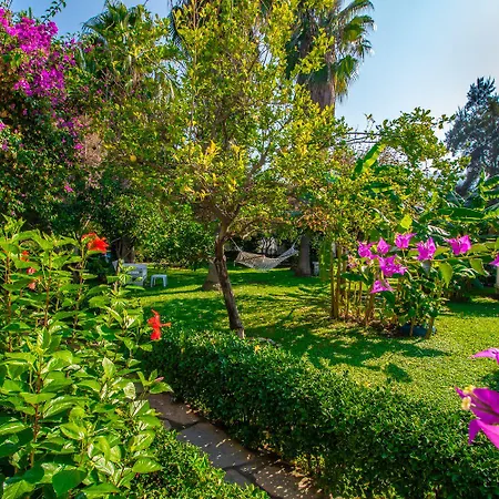 Parc de vacanță Blue & White Çıralı