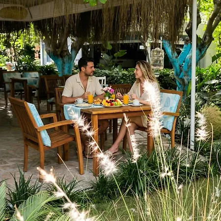 بلو آند وايت