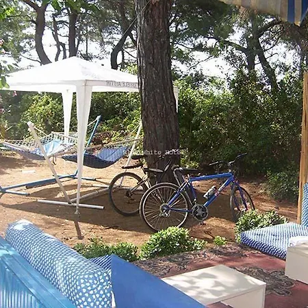 Blue & White Holiday park