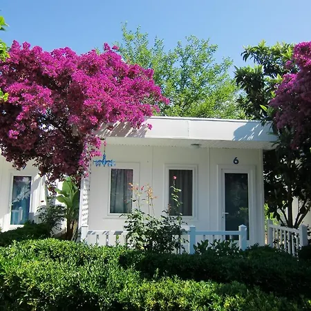 Blue & White Parc de vacanță