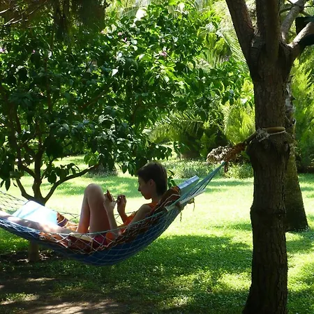 Blue & White Parc de vacanță Çıralı
