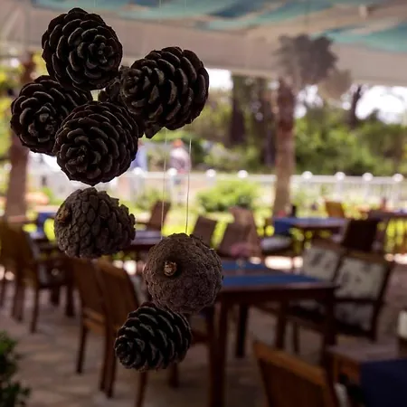 Blue & White Parc de vacanță