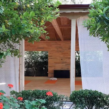 Blue & White Çıralı