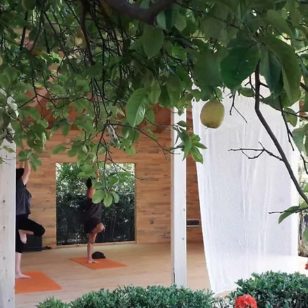 Blue & White 3* Çıralı