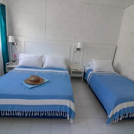 Blue & White Holiday park