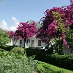 Blue & White Holiday park
