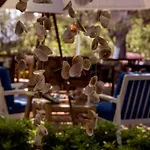 Blue & White Holiday park 3*
